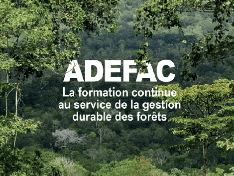 13 fiches métiers-compétences déjà validées par les acteurs du secteur forestier au Congo