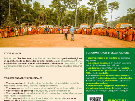 Offre d'emploi Interholco : Prêt à diriger l'une des exploitations forestières les plus durables d'Afrique ?