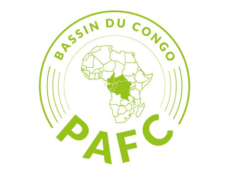 Un grand pas en avant pour le schéma de certification PAFC en République du Congo : IFO est désormais certifiée PAFC Bassin du Congo ! 
