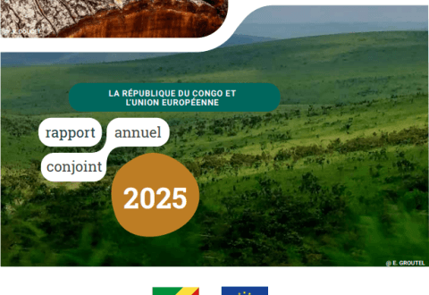 République du Congo : publication du Rapport Annuel Conjoint 2025 de l’APV FLEGT