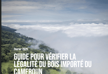 Publication d'un guide pratique sur le commerce légal de bois entre le bassin du Congo et l'UE