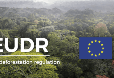 RDUE – Classement pays : un repère utile, mais pas un raccourci