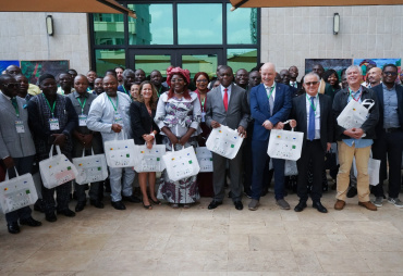 Résultats des activités de plantation au sein des compagnies forestières du Cameroun