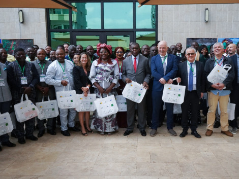 Résultats des activités de plantation au sein des compagnies forestières du Cameroun