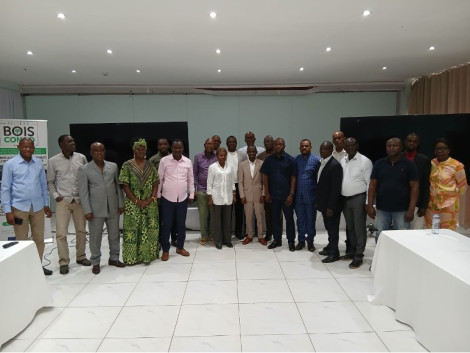 Atelier multi-acteurs pour construire un marché du bois légal et durable en République du Congo