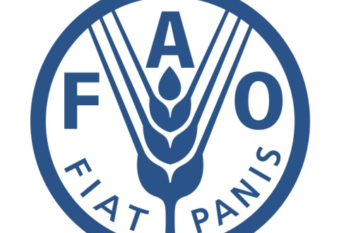 Lancement d’un appel à propositions pour soutenir le développement des chaînes de valeur des essences de bois moins utilisées (LUTS) et de leurs produits