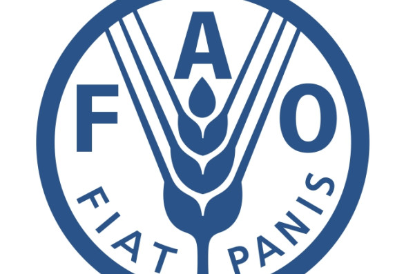 Lancement d’un appel à propositions pour soutenir le développement des chaînes de valeur des essences de bois moins utilisées (LUTS) et de leurs produits