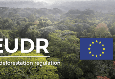 RDUE : un atelier pratique pour analyser les risques de déforestation avec WHISP et les documents de gestion forestière