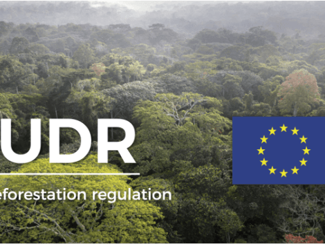 RDUE : un atelier pratique pour analyser les risques de déforestation avec WHISP et les documents de gestion forestière