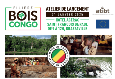 Lancement du projet ASP MIB Congo : Un nouvel élan pour la filière bois domestique en République du Congo