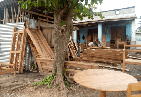 Diversification des essences tropicales : une étude en RDC explore le potentiel des essences moins connus (LKTS) du bassin du Congo