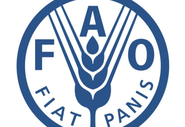 Recrutement : la FAO recherche un(e) Facilitateur(trice) pour le Partenariat Forêt Congo–Union européenne