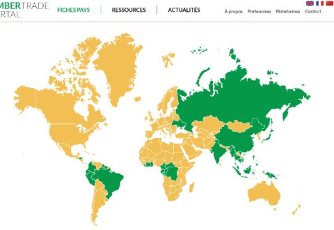 EUDR: Focus on the Timber Trade Portal Update Workshop – A Due Diligence Support Tool