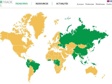 EUDR: Focus on the Timber Trade Portal Update Workshop – A Due Diligence Support Tool