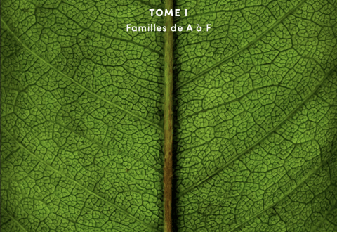 « Les Arbres d’Afrique Centrale », le nouvel ouvrage de référence sur la flore forestière des forêts d’Afrique centrale