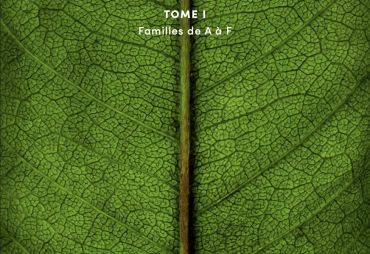 « Les Arbres d’Afrique Centrale », le nouvel ouvrage de référence sur la flore forestière des forêts d’Afrique centrale