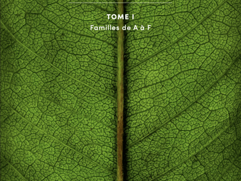 « Les Arbres d’Afrique Centrale », le nouvel ouvrage de référence sur la flore forestière des forêts d’Afrique centrale