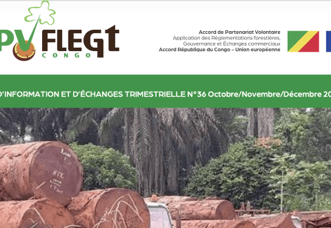 APV-FLEGT Congo : une nouvelle étape vers une gouvernance forestière renforcée