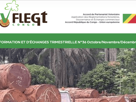 APV-FLEGT Congo : une nouvelle étape vers une gouvernance forestière renforcée