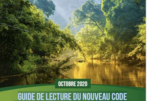 Code forestier 