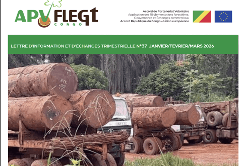 Publication de la Lettre d'information APV-FLEGT Congo n°37