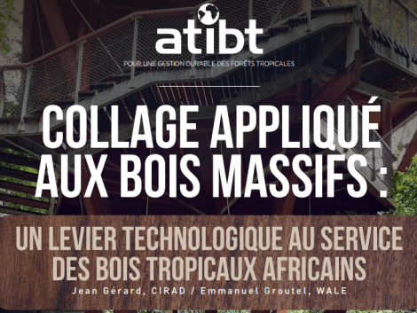 Nouvelle publication technique : Le collage appliqué aux bois massifs