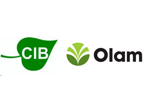 CIB OLAM